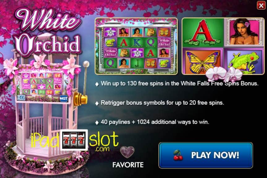 What Do You Call Slot Machines | Online Casino - Moda Bambini Casino